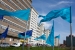 001_vlag_1_[20100911]-fluxs-za-02_boudewijn_boll